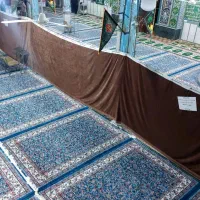 فروش قالی نو|فرش|زرند, |دیوار