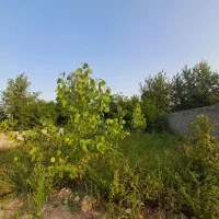 فروش زمین مسکونی در منگوده چند قدمی گلسار