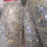 خیار سبز تازه چین اول ۶۵