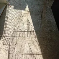 پارک سگ|لوازم جانبی حیوانات|صومعهسرا, |دیوار