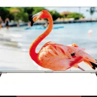 تلویزیون سونیا