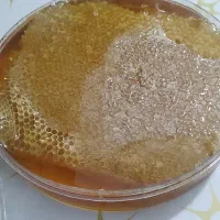 محصولات محلی کندیمیز از روستا های زنجان|خوردنی و آشامیدنی|قم, ولیعصر|دیوار