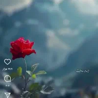 استخدام نیرو