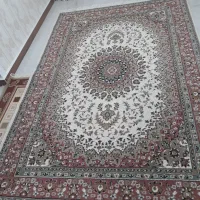 فرش ۶ متری|فرش|لاهیجان, امیرشهید|دیوار