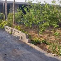 باغ و ویلا سفتکاری