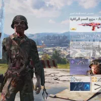 صیف فروشی تضمین