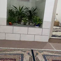 رهن واجاره طبق دوم کیان آبادکوچه 10صاحب الزمان|اجارهٔ آپارتمان|شیراز, کیان آباد|دیوار