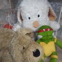 عروس تدی سایزبزرگ برای سیسمونی|اسباب‌بازی بچه|مشهد, گلبرگ|دیوار