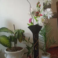 گلدون|گل مصنوعی|میاندوآب, |دیوار