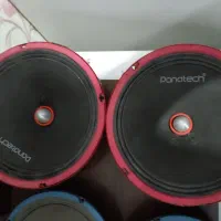 دوعدد میدرنج ۸ پاناتک|صوتی و تصویری|پاکدشت, خاتون آباد|دیوار