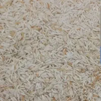 برنج هاشمی ،دورنگ