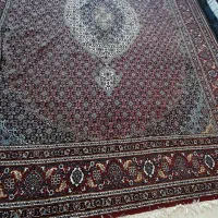 ۱۲متری ریزماهی لاکی