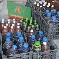 آبغوره، سرکه سیب