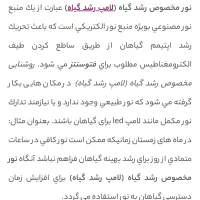 لامپ رشد گیاه|گل و گیاه طبیعی|شیراز, بریجستون|دیوار