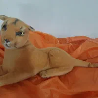 انواع عروسک زیر قیمت|اسباب‌بازی بچه|لاهیجان, رجایی|دیوار