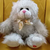 عروسک خرس و سگ