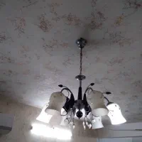 لوستر|لوستر و چراغ آویز|اهواز, دانشگاه چمران|دیوار