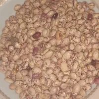 لوبیا چیتی مرغوب|عمدهفروشی|بهمن صغاد, |دیوار