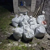 کود حیوانی گاوی پوسیده و خاک باغچه درجه یک|خدمات باغبانی و درختکاری|رشت, توشیبا|دیوار