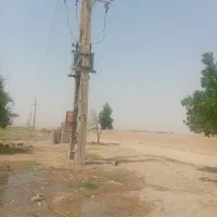 فروش-11هکتار-پشمینه-زار-اندیمشک-از-چاه-30-هکتاری