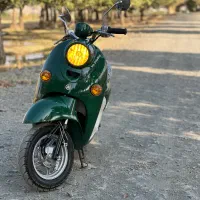 پاکشتی وینو درحد