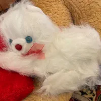 عروسک های کودک