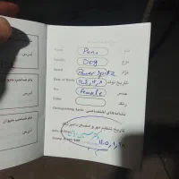 فروشی