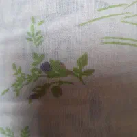 چهار عددتشک با یه دانه پتو
