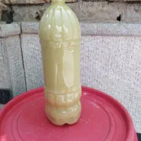 انواع ابلیمو ابغوره عمده