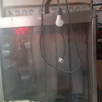 فروش فرپاچینی