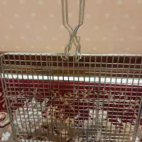 کباب پز|ظروف پخت‌وپز|قم, زنبیل آباد|دیوار