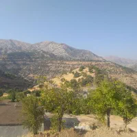 فروش واحد اپارتمان کیان اباد