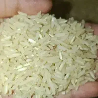 ده کیلو برنج طارم هاشمی