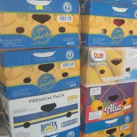 کارتن موزی اسباب کشی