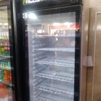 فریزر تک در ..فالکو