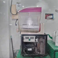 یخ در بهشت امریکایی