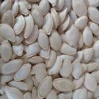 تخمه کدو آتشلر