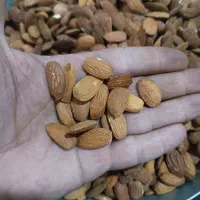 مغز بادام لوکس مجلسی|خوردنی و آشامیدنی|قم, مهدیه|دیوار