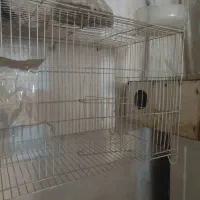 قفس پرنده