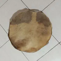 پوست تنبک|سازهای سنتی|تهران, جمهوری|دیوار