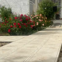 روانشناس ارشد بالینی (مسئول فنی مرکز توانبخشی)