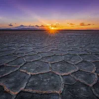 طلای رایگانتو بگیر