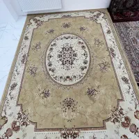 فرش ۱۲ متری|فرش|زنجان, |دیوار