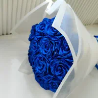 گل روبانی جاودان