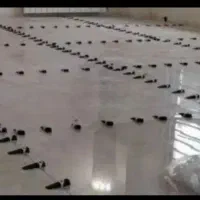 کاشی کاری با قیمت مناسب درجه یک یک