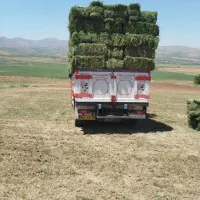 ایسوزو 8تن|خودرو سنگین|دهگلان, |دیوار