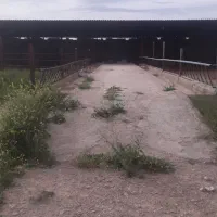 اجاره گاوداری|اجارهٔ دفتر صنعتی، کشاورزی، تجاری|مرودشت, محمد آباد|دیوار