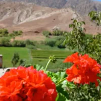 اجاره-ویلا-سوییت-در-ارتکند-کلات