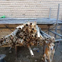 لوله داربست ۶متری ۴۰ عدد قالب ۲۰ عدد|مصالح و تجهیزات ساختمان|سبزوار, کهنه آب|دیوار