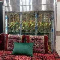 جهت کار در سفره خانه